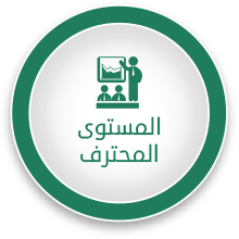 المستوى المحترف