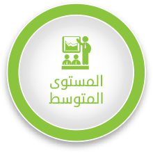 المستوى المتوسط
